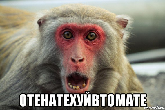  отенатехуйвтомате, Мем Шварц негр