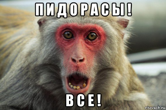 п и д о р а с ы ! в с е !, Мем Шварц негр