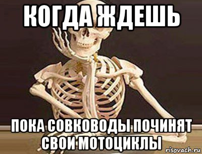 когда ждешь пока совководы починят свои мотоциклы, Мем скелет