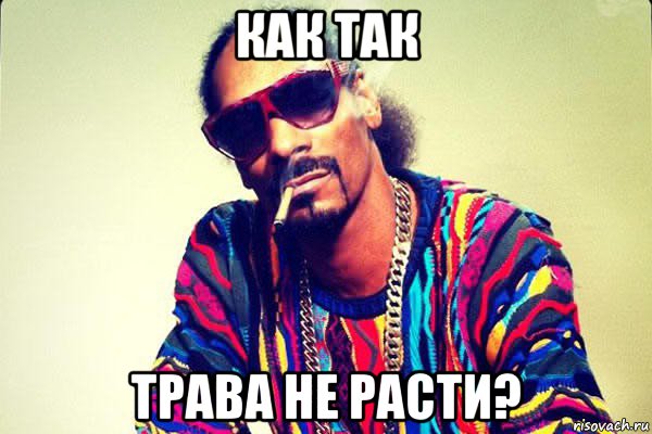 как так трава не расти?, Мем snoop dogg