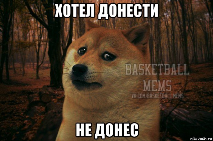 хотел донести не донес