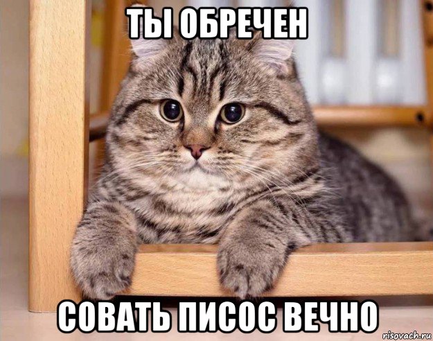 ты обречен совать писос вечно