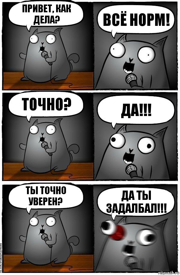 привет, как дела? всё норм! точно? да!!! ты точно уверен? да ты задалбал!!!, Комикс  Стендап-кот