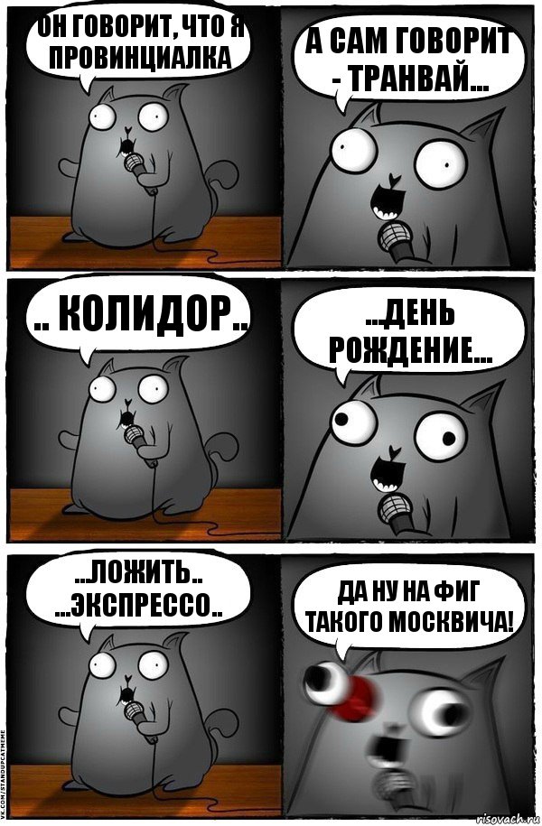 Он говорит, что я провинциалка А сам говорит - траНвай... .. колидор.. ...день рождениЕ... ...ложить.. ...экспрессо.. Да ну на фиг такого москвича!, Комикс  Стендап-кот