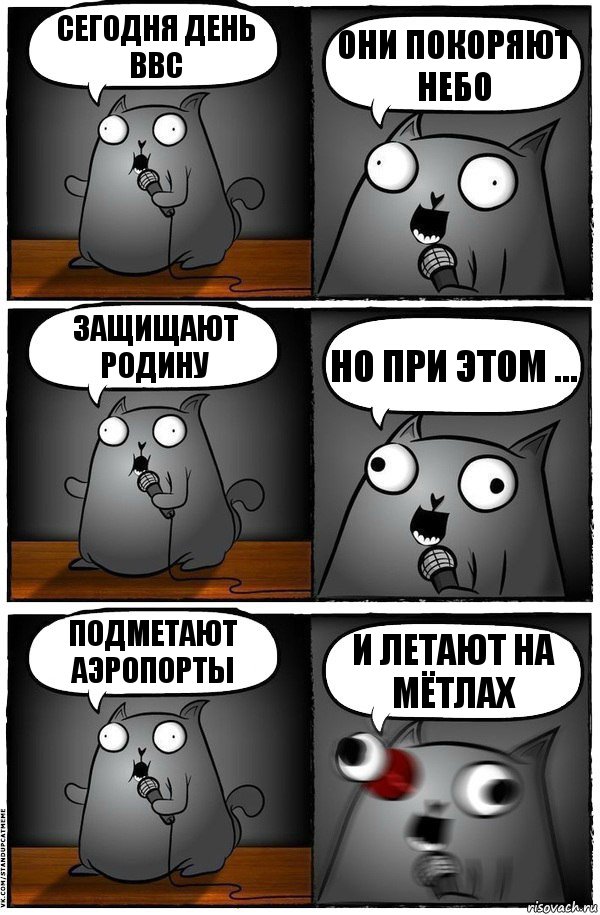 Сегодня день ввс Они покоряют небо Защищают родину Но при этом ... Подметают аэропорты И летают на мётлах, Комикс  Стендап-кот