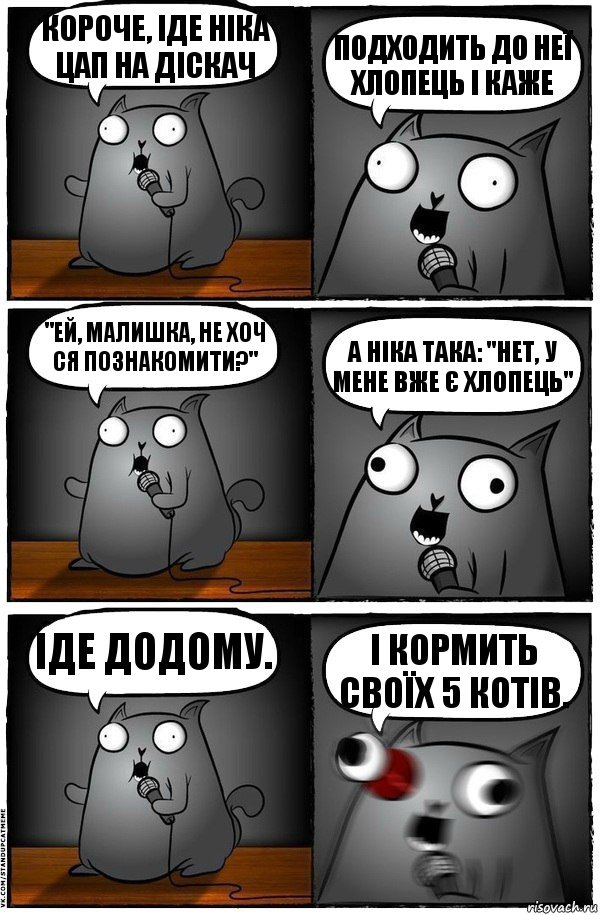 Короче, іде НІка Цап на діскач подходить до неї хлопець і каже "Ей, малишка, не хоч ся познакомити?" А Ніка така: "Нет, у мене вже є хлопець" Іде додому. І кормить своїх 5 котів., Комикс  Стендап-кот