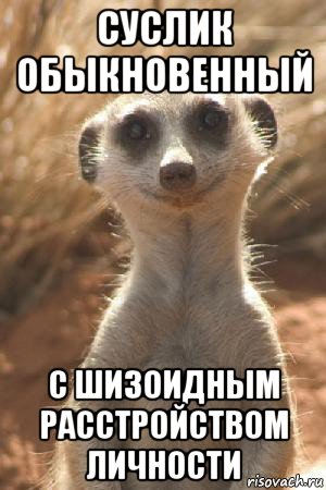 суслик обыкновенный с шизоидным расстройством личности, Мем Суслик