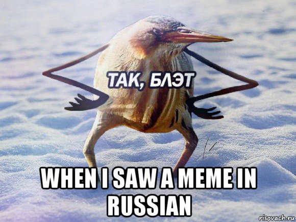  when i saw a meme in russian, Мем  Так блэт птица с руками
