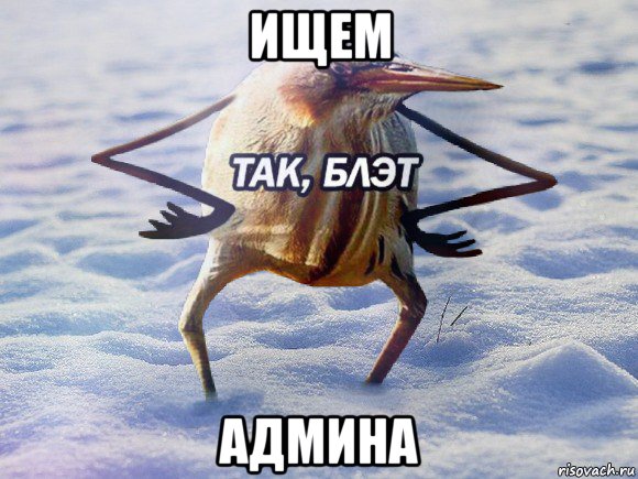 ищем админа