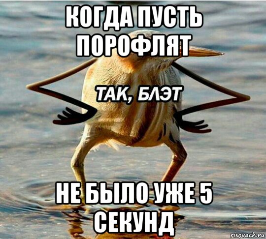 когда пусть порофлят не было уже 5 секунд