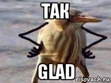 так glad