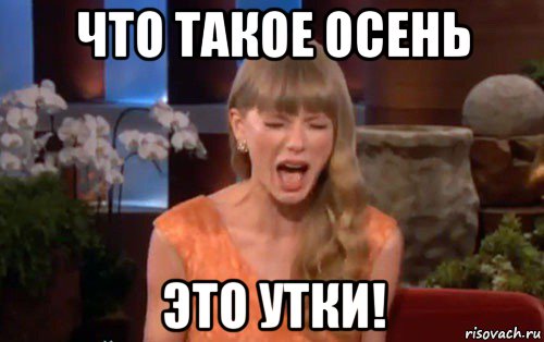 что такое осень это утки!