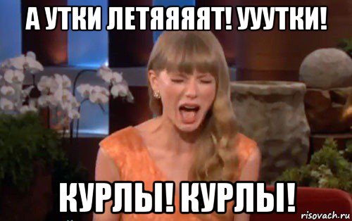 а утки летяяяят! ууутки! курлы! курлы!