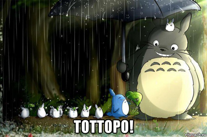  тотторо!