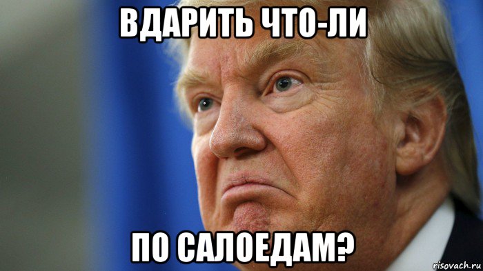 вдарить что-ли по салоедам?