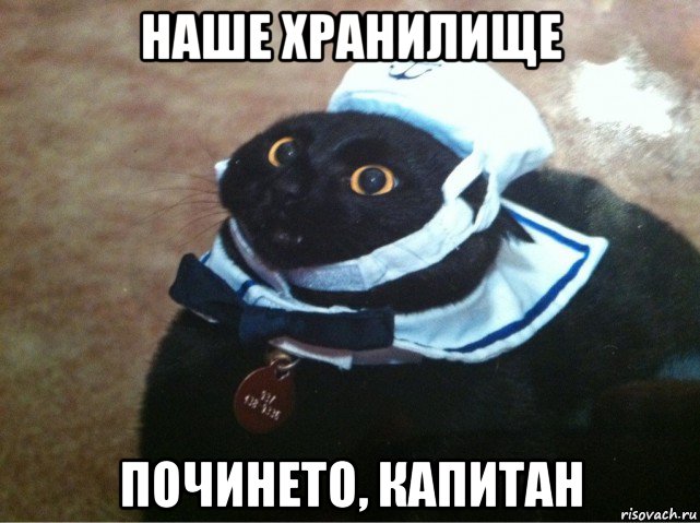наше хранилище починето, капитан