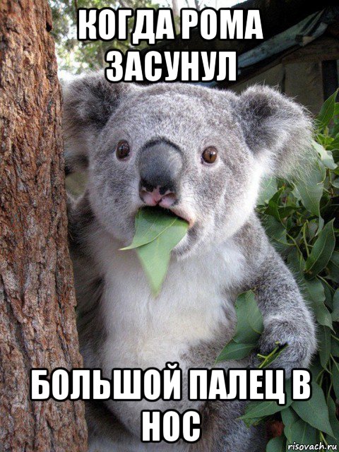 когда рома засунул большой палец в нос