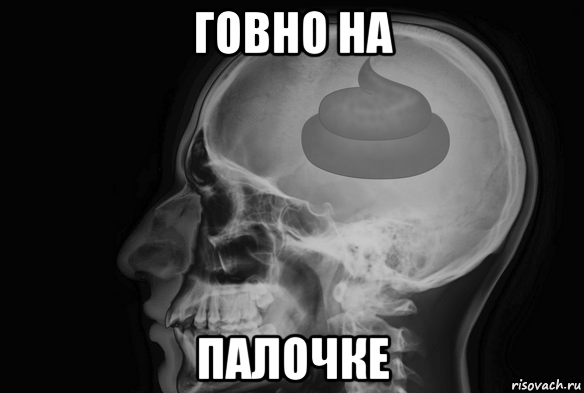 говно на палочке
