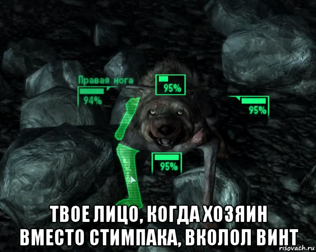  твое лицо, когда хозяин вместо стимпака, вколол винт, Мем Упоротая собака