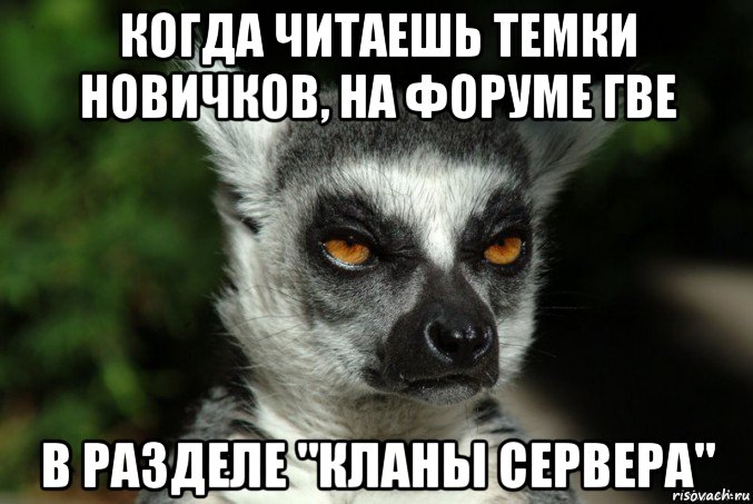 когда читаешь темки новичков, на форуме гве в разделе "кланы сервера", Мем   Я збагоен