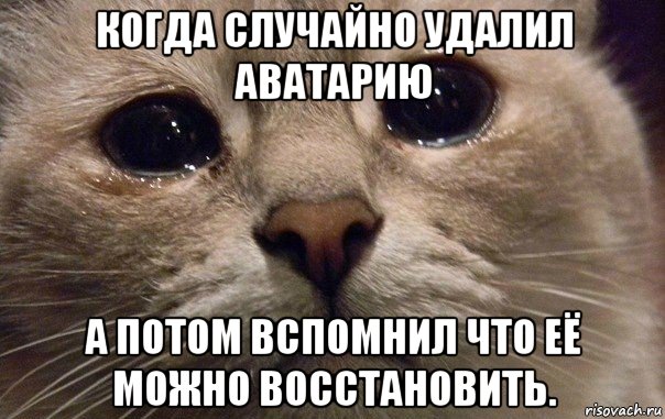 когда случайно удалил аватарию а потом вспомнил что её можно восстановить., Мем   В мире грустит один котик