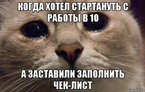 когда хотел стартануть с работы в 10 а заставили заполнить чек-лист, Мем   В мире грустит один котик