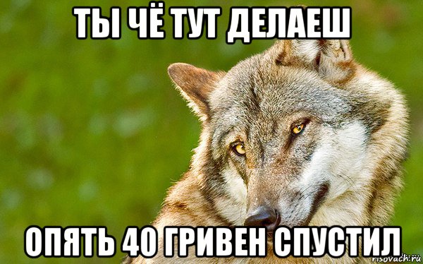 ты чё тут делаеш опять 40 гривен спустил, Мем   Volf