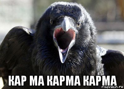  кар ма карма карма, Мем ворона