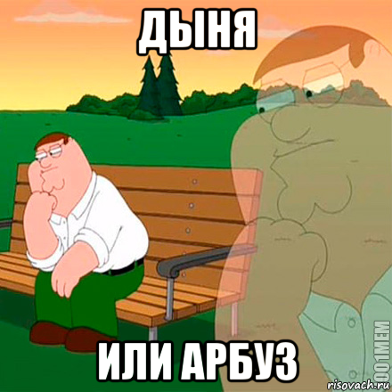 дыня или арбуз, Мем Выбор