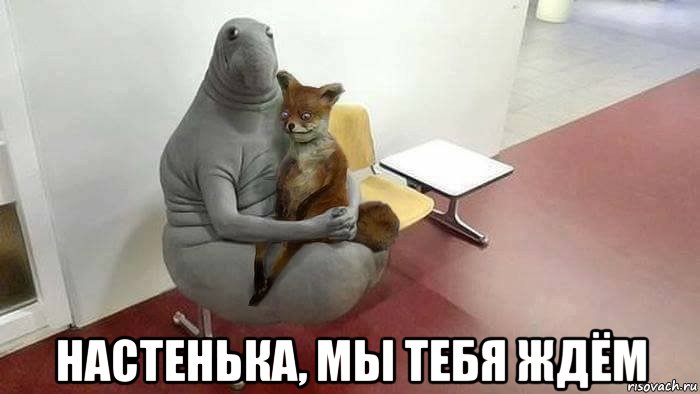  настенька, мы тебя ждём