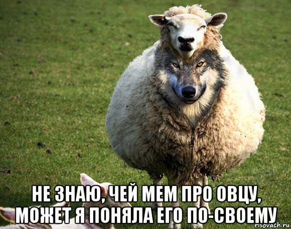  не знаю, чей мем про овцу, может я поняла его по-своему, Мем Злая Овца