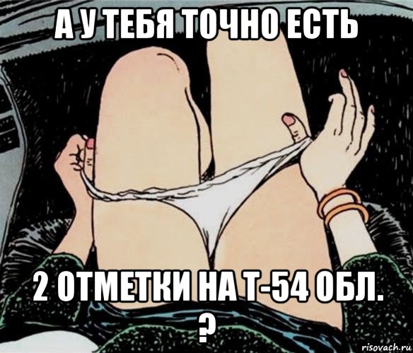 а у тебя точно есть 2 отметки на т-54 обл. ?, Мем А ты точно