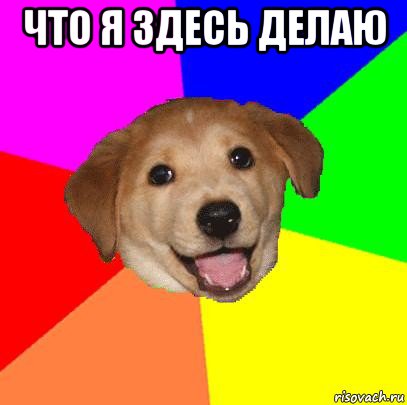 что я здесь делаю , Мем Advice Dog