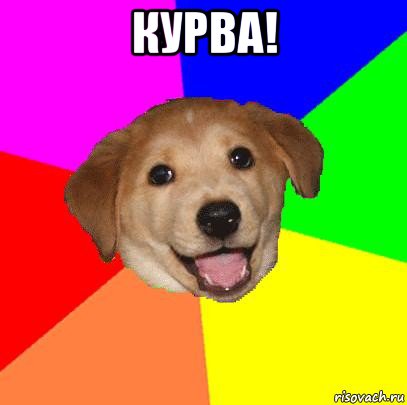 курва! , Мем Advice Dog