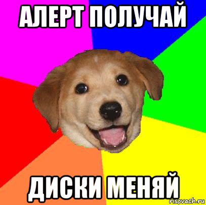 алерт получай диски меняй, Мем Advice Dog