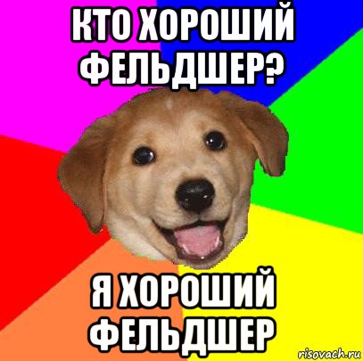 кто хороший фельдшер? я хороший фельдшер, Мем Advice Dog