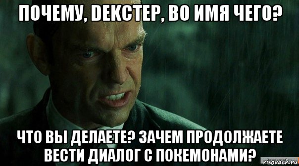 почему, dekctep, во имя чего? что вы делаете? зачем продолжаете вести диалог с покемонами?