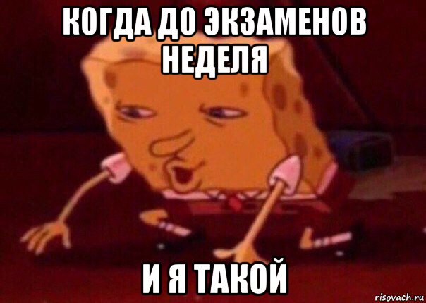 когда до экзаменов неделя и я такой, Мем    Bettingmemes