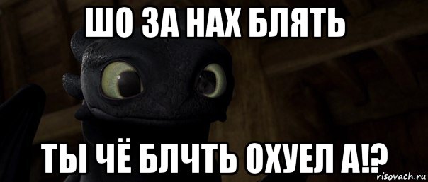 шо за нах блять ты чё блчть охуел а!?