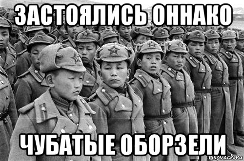 застоялись оннако чубатые оборзели