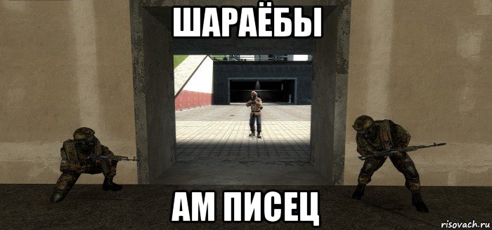 шараёбы ам писец