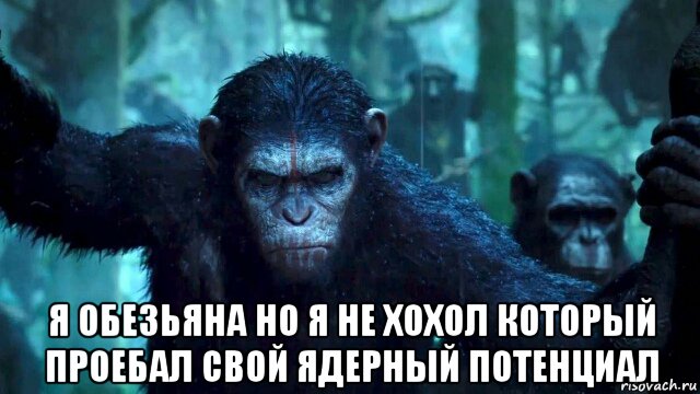 Восемь лет мем обезьяна