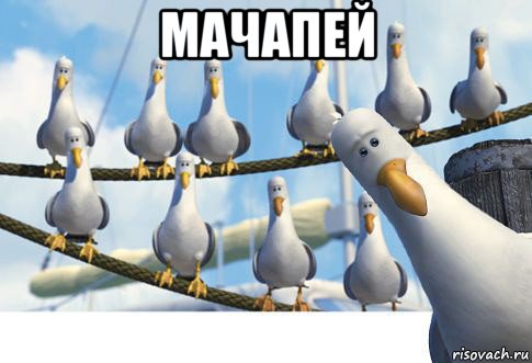 мачапей 