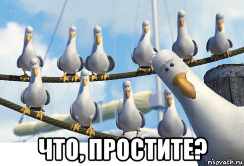  что, простите?