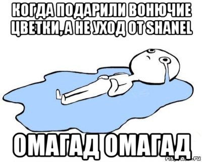 когда подарили вонючие цветки, а не уход от shanel омагад омагад, Мем   человек в луже плачет