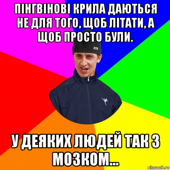 пінгвінові крила даються не для того, щоб літати, а щоб просто були. у деяких людей так з мозком...