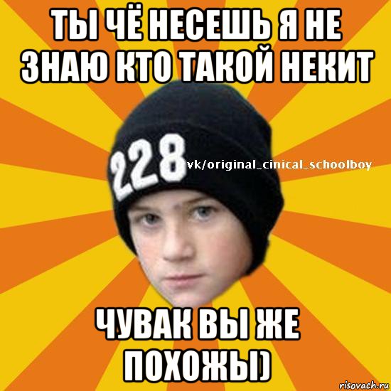 ты чё несешь я не знаю кто такой некит чувак вы же похожы), Мем  Циничный школьник