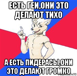 есть геи,они это делают тихо а есть пидерасы,они это делают громко, Мем Да я фурь и мне насрать на ваше мнёние