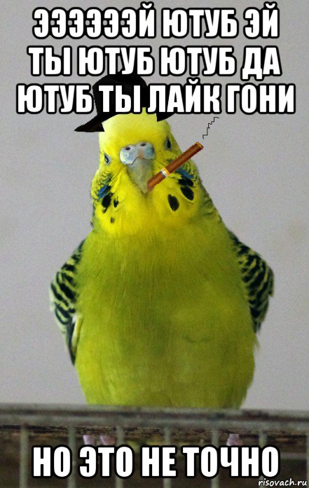 ээээээй ютуб эй ты ютуб ютуб да ютуб ты лайк гони но это не точно