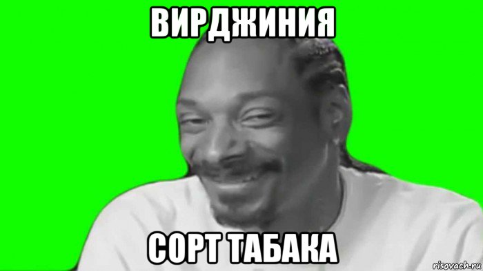 вирджиния сорт табака